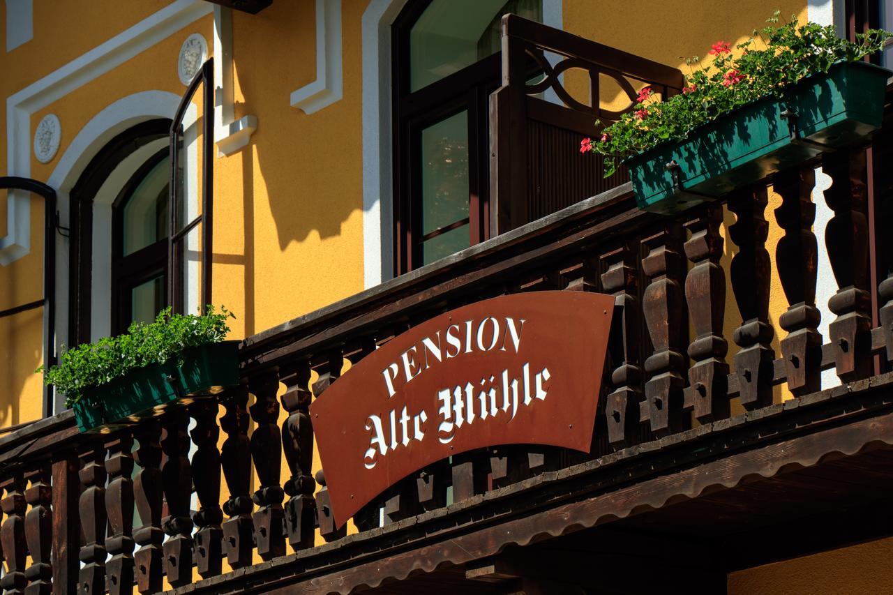 Pension Alte Muehle Gmund in Karnten Ngoại thất bức ảnh